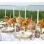 Birch Placemat