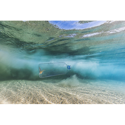 Plastic pollution in the ocean