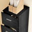 Seantae File Cabinet, 4 Drawers, Vertical Filing Cabinet, Black Wood Effect-822323193