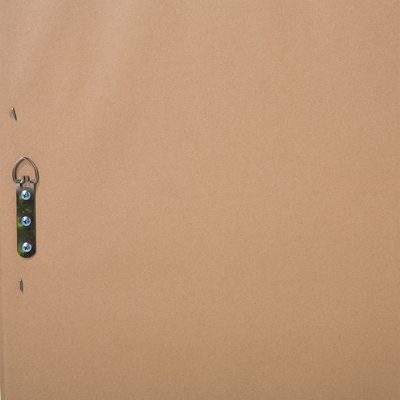 Drennen Flat Plastic Framed Full Length Mirror in Gold