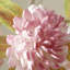 Faux fleurs artificielles