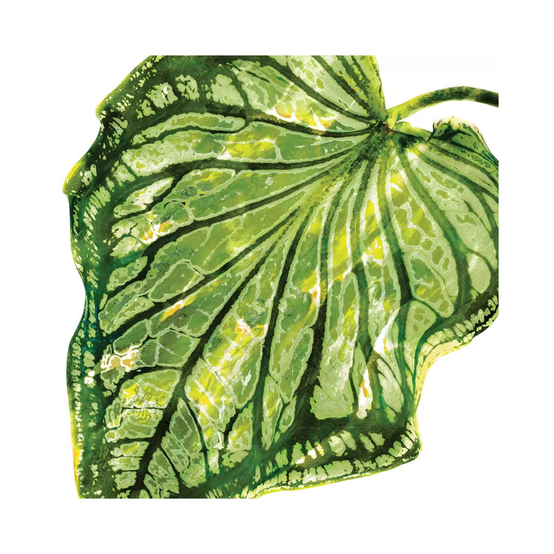Green Palm, Close-up III by Melonie Miller - Wrapped Canvas Painting, 30.48 cm H x 30.48 cm W
