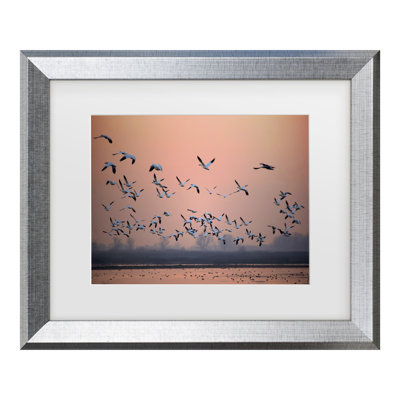 Hao Jiang Toward The Sun Matted Framed Art