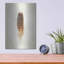 «Feather I» par Debra Van Swearingen-101632569