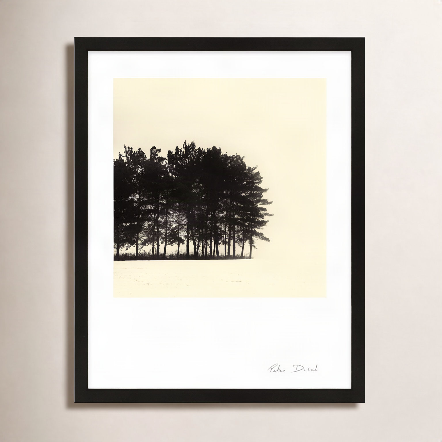Garden Sign "Copse" Print by Peter Dušek, 38" H x 30" W x 1.25" D, Black