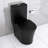 Bathroom Toilet In Matte Black, Dual Flush 1.1/1.6 , Advanced Flushing Performance Energy-124321992