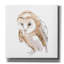 Millwood Pines «Barn Owl I» par Chris Paschke-397026008