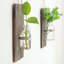 Jenna Glass Wall Vase