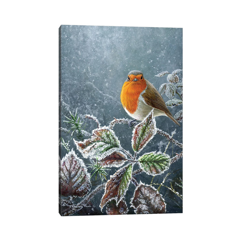Toucher de givre - Robin par Jeremy Paul - Giclée sur toile tendue avec châssis, H 12 po x l 8 po x P 0,75 po