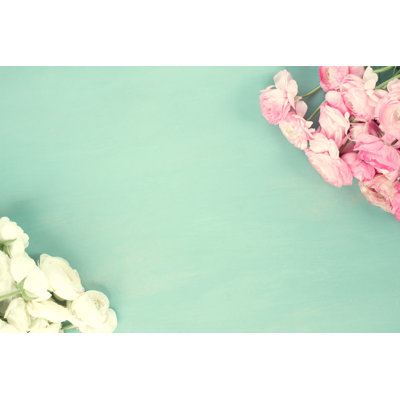 Pink And White Ranunculus by Neirfy - Wrapped Canvas Print