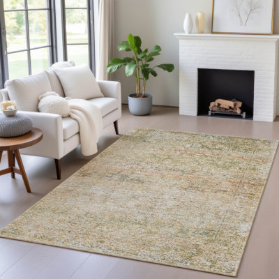 Machine Washable Indoor/Outdoor Xhevrie Gold Rug