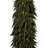 42'' Plant