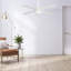 Neva Smart Ceiling Fan with wall control, Light Kit Included, Works with Google Assistant, Amazon Alexa, and Siri Shortcuts.-1264748039-1264748035-1264748047