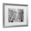 « japanese érable spring abstract », reproduction de photo sur toile-34370386-34370389