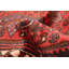 Tapis rouge 4 pi 3 po x 6 pi 6 po Andelz