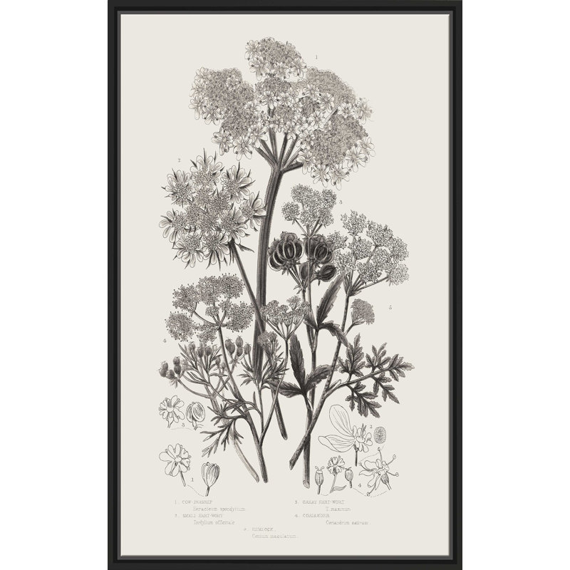Plantes à fleurs VI neutre - Peinture, L 31,5 po x H 51,5 po, Cadre noir