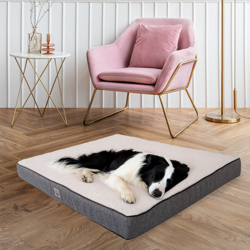 Lit pour animaux, Blanc