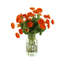 Ranunculus in Orange