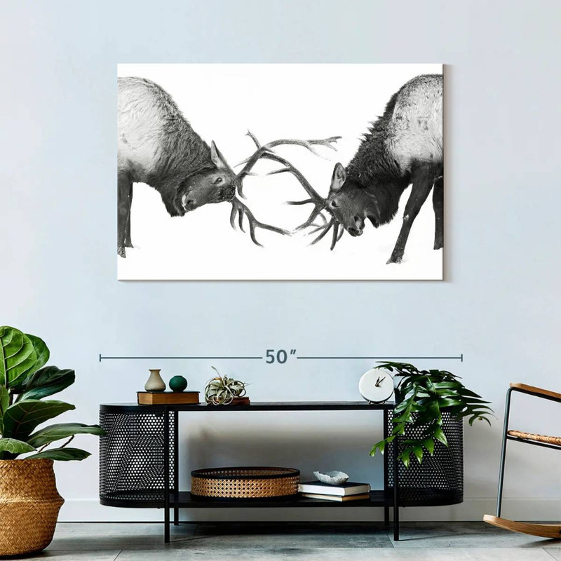 Brampt Fighting Elks, 30" H x 45" W