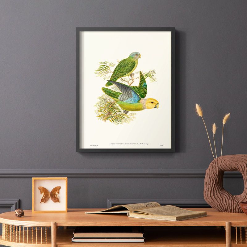 «Lime & Cerulean Parrots I», reproduction encadrée - bois massif, Noir, H 10 po x l 8 po