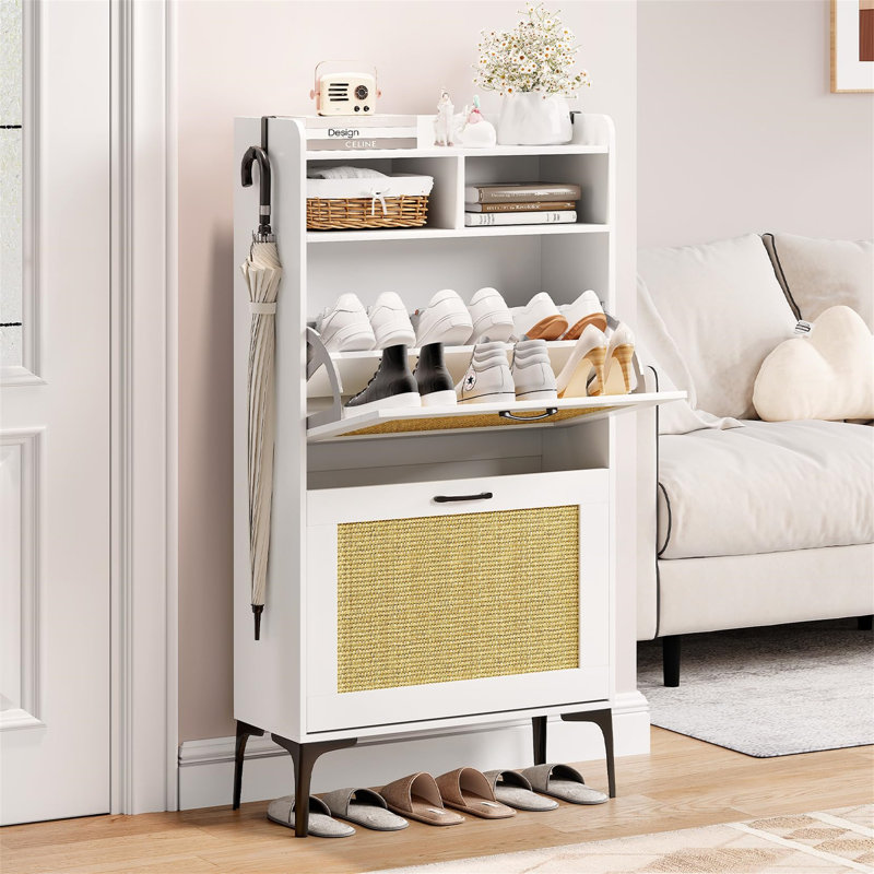 Amillya 6 Pair Shoe Storage Cabinet