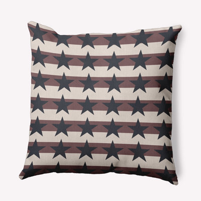 Polyester Throw Square Indoor/Outdoor Pillow Cover & Insert