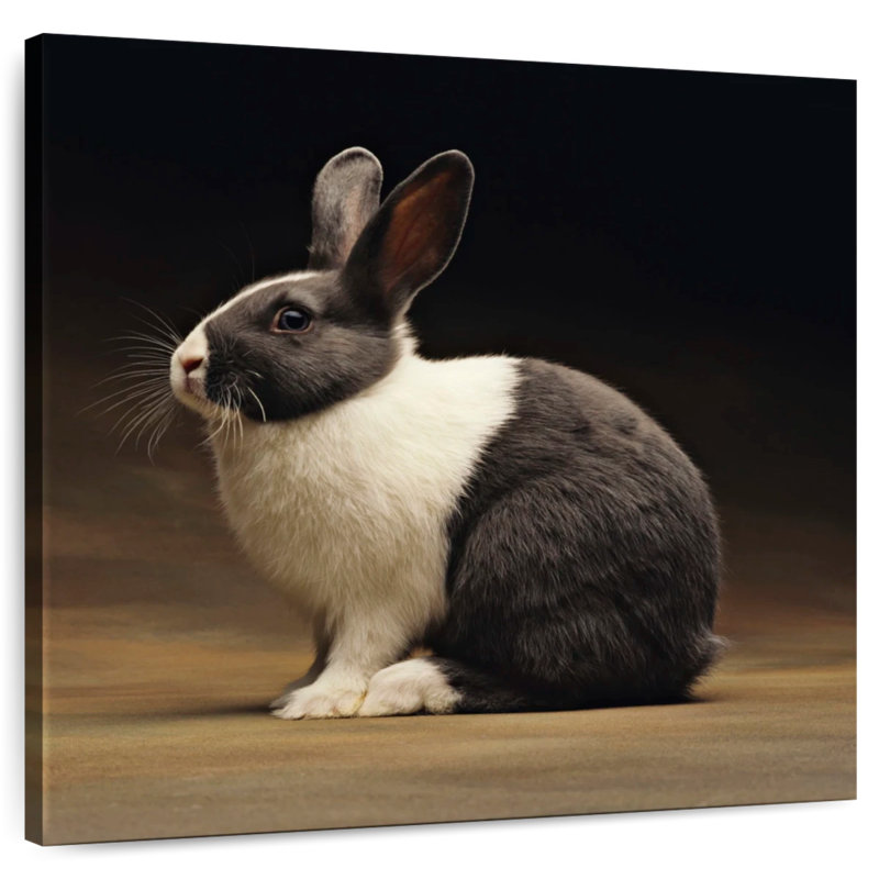 Crowle Rabbit, 33" H x 33" W