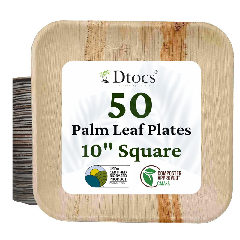 Disposable Birthday Dinner Plate