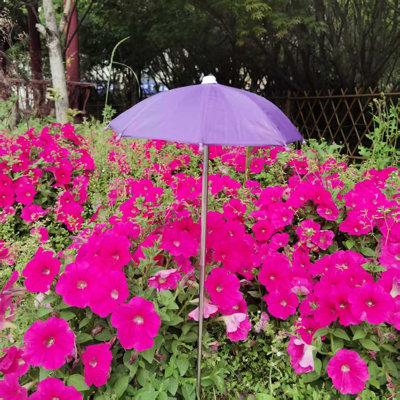 Parasol décoratif décoratif pour plantes Parasol de jardin pratique Installation facile Protection de l'ombrage des plantes pour l'extérieur