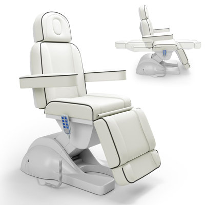 Fully Electric Facial Massage Table Whole Piece with 3 Motors for Esthetician, Electric Tattoo Chair for Client, Facial Bed for Esthetician, Electric Adjustment