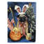 Drapeau de maison Hvidovre Sheltie Halloween en polyester à 2 faces 3 x 2 pi-81031226