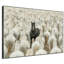 Très grand cheval noir unique au milieu d'un grand troupeau blanc, illustrations d'art encadré très grand (assemblage de cadre requis)-105075982