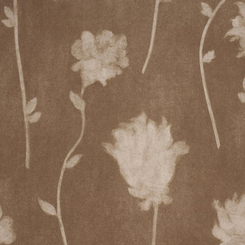Schumacher X Backdrop Before Midnight Wallpaper, Brown