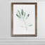 « simple sage ii »-cadre photo imprimé sur verre-1626722279-1626722276