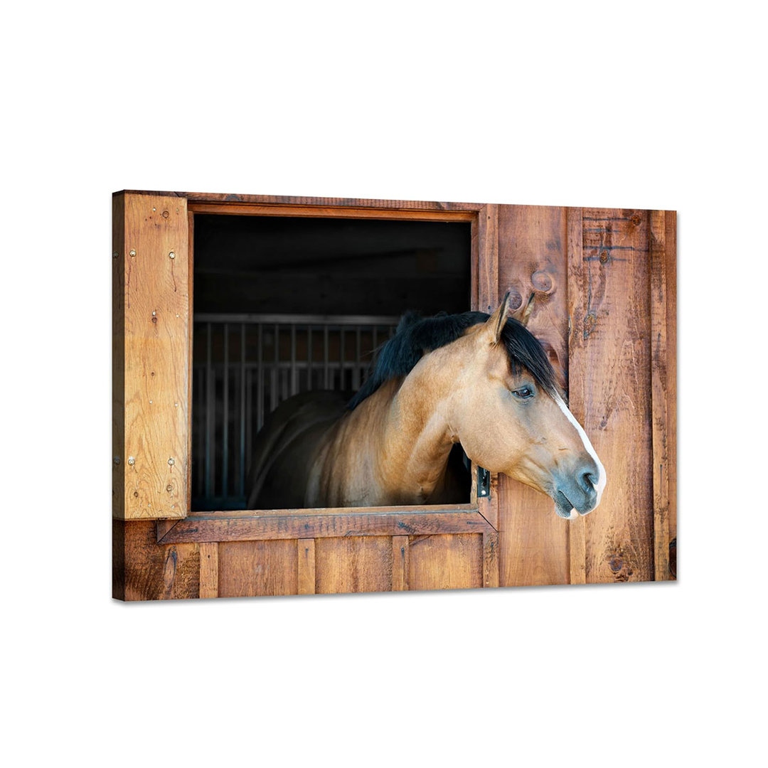 Horse Wall Art Gift for Horse Lovers Animal Photo Cute Little Pony Canvas Art Decor Sunflower Office Pictures Posters Ready to Hang (12" L x 16" W)