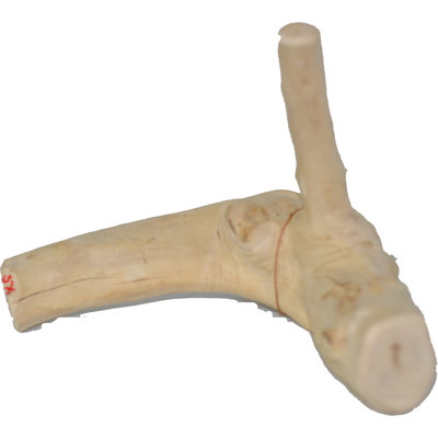 Chariya 5'' x 3'' x 5'' Wood Reptile Accessories Kit- Natural: Product size and shape may vary