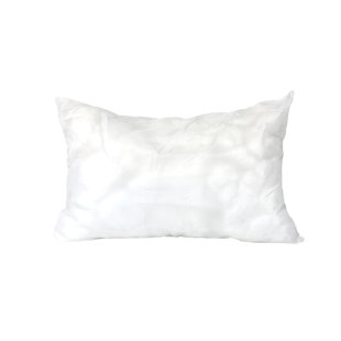  Outdoor Square Pillow Insert