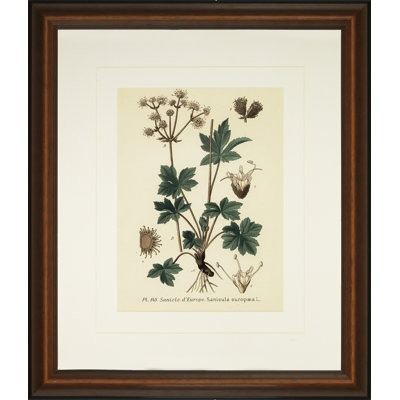 Verde Tinted Botanical I Print