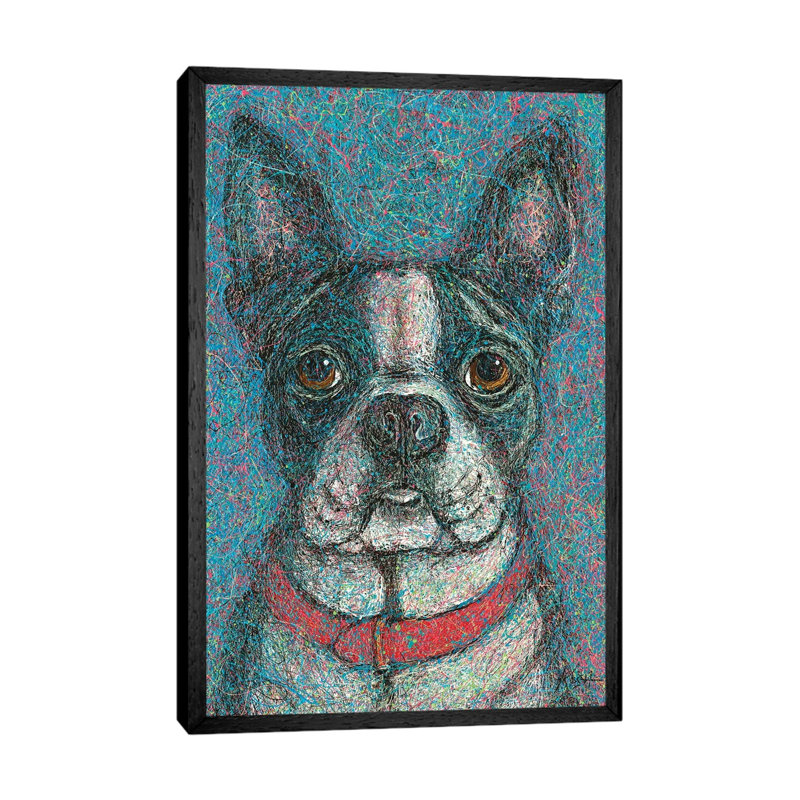 Boston Terrier Drip by Gretchen Kish Serrano - Gallery-Wrapped Canvas Giclée on Canvas, 101.6 cm H x 66.04 cm W, Black Framed