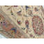 Oriental Area Rug in Ivory