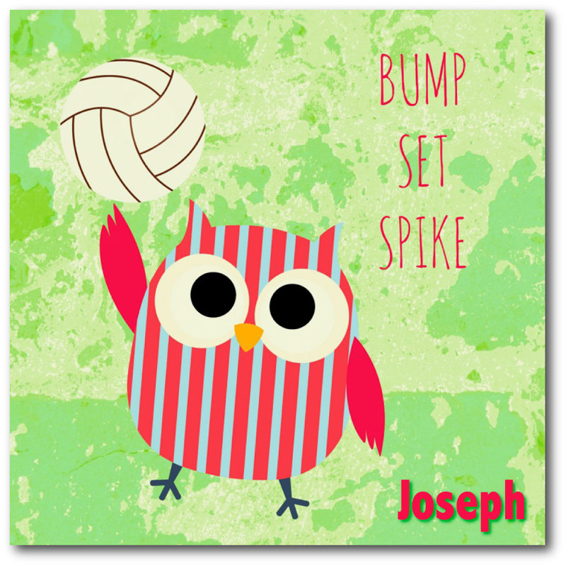 Décalcomanie murale personnalisée hibou de natation, H 20 po x l 20 po, Oui