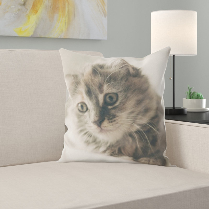 Coussin chat