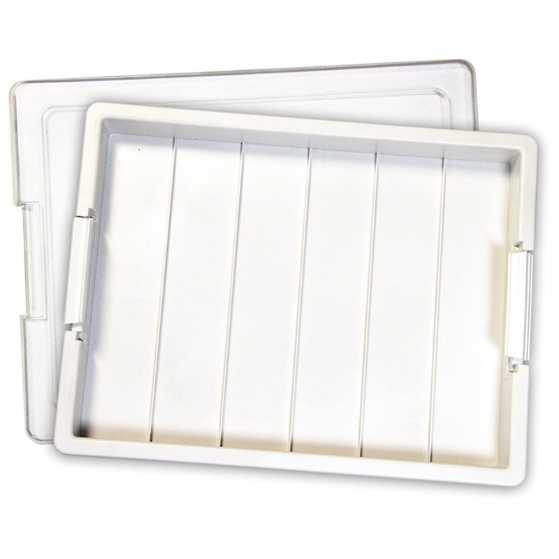 Elizabeth Ward Bead Plastic Art Carrying Case