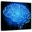 Keiri Cyborg Brain