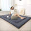 Matelas de sol japonais pliable en tatami de 2,5 po d'épaisseur-1702167457-1698931436