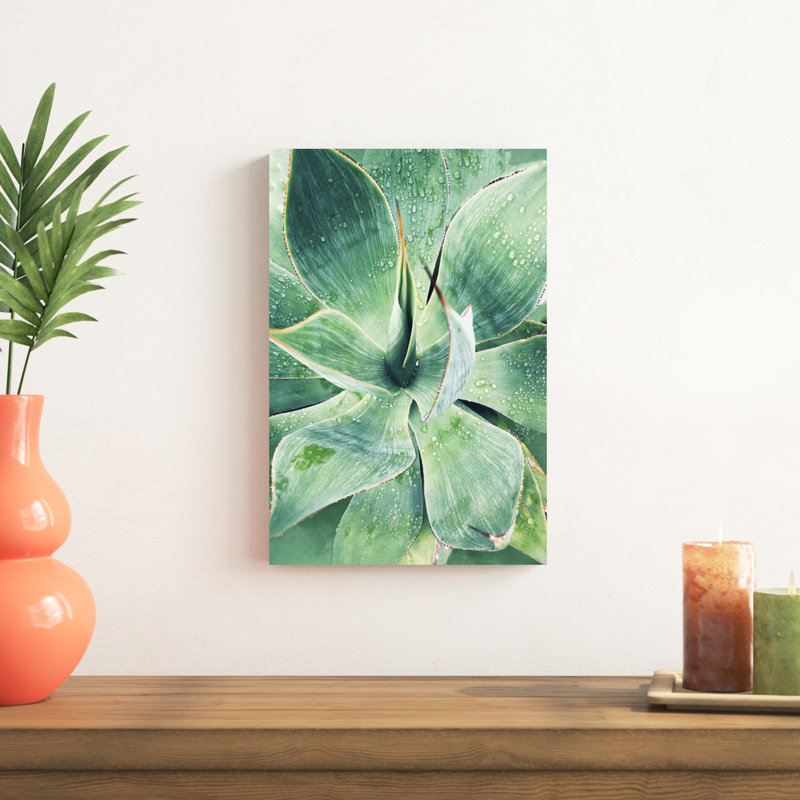 Vert succulent tropical vert I, H 18 po x l 12 po x P 1,25 po