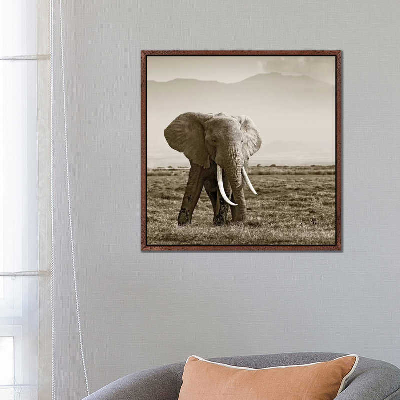 Big Tusked Elephant by Klaus Tiedge - Print on Canvas, Classic Brown Wood Framed, 66.04 cm H x 66.04 cm W