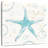 Aletra Coastal Splash I Gold-109216107