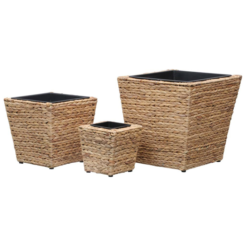 Ivanhoe Planter, Brown