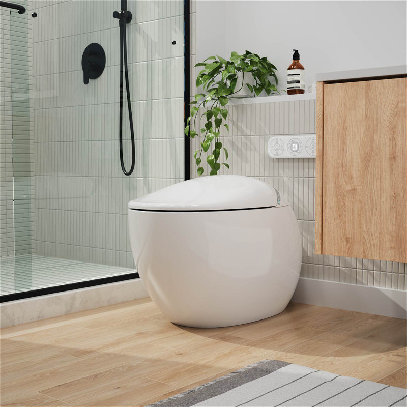 One-Piece 1.1/1.6 GPF Dual Flush Eggy Elongated Toilet in White with Siphon Jet Flush, Glossy White